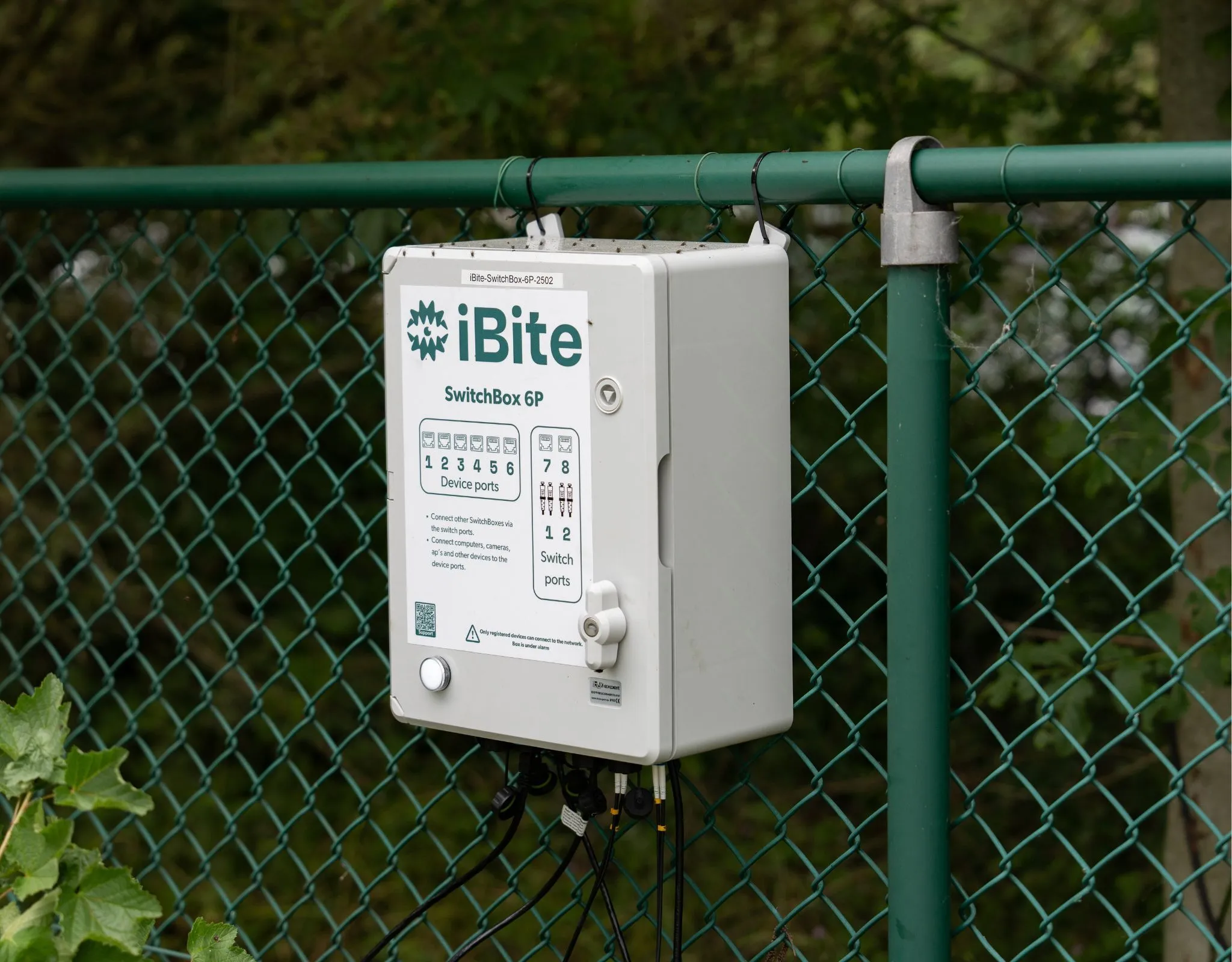 iBite Switch Box