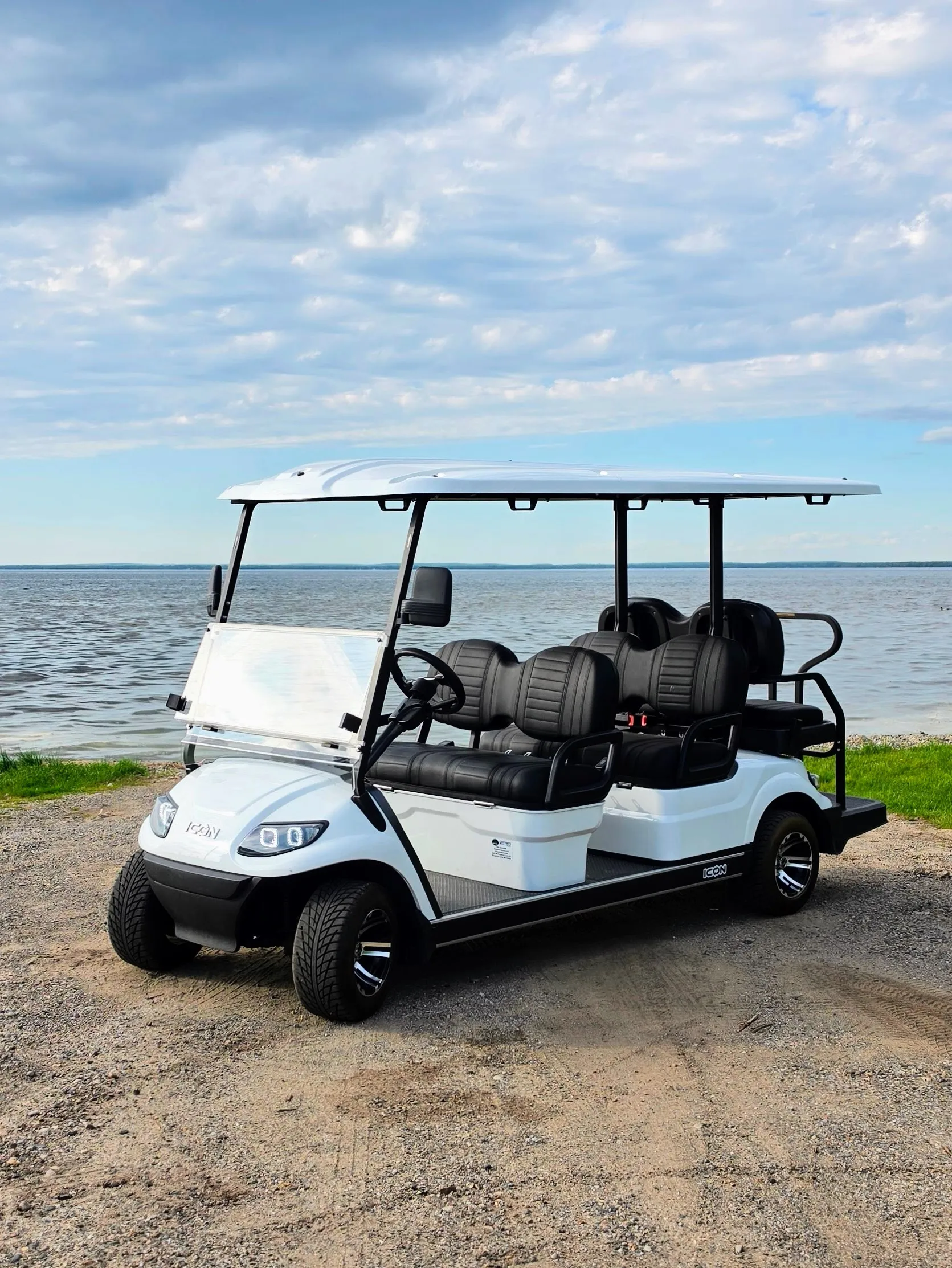 6 Seat Golf Cart