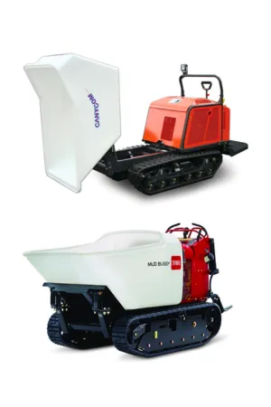 Power Buggie Rentals