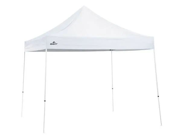 10 x 10 canopy