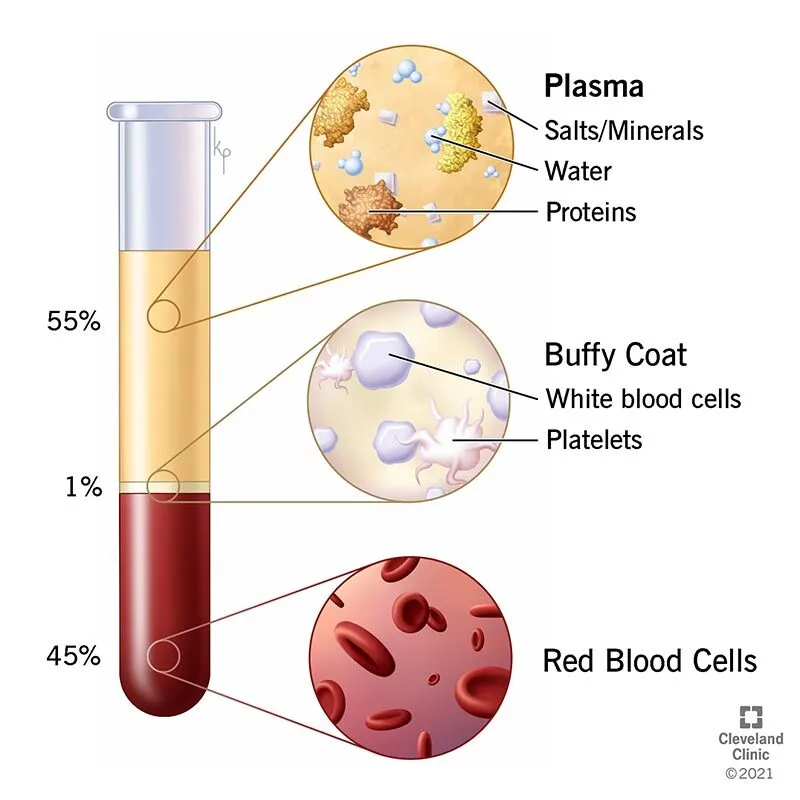 plasma
