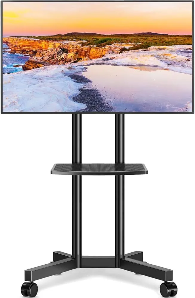 75" TV with Stand