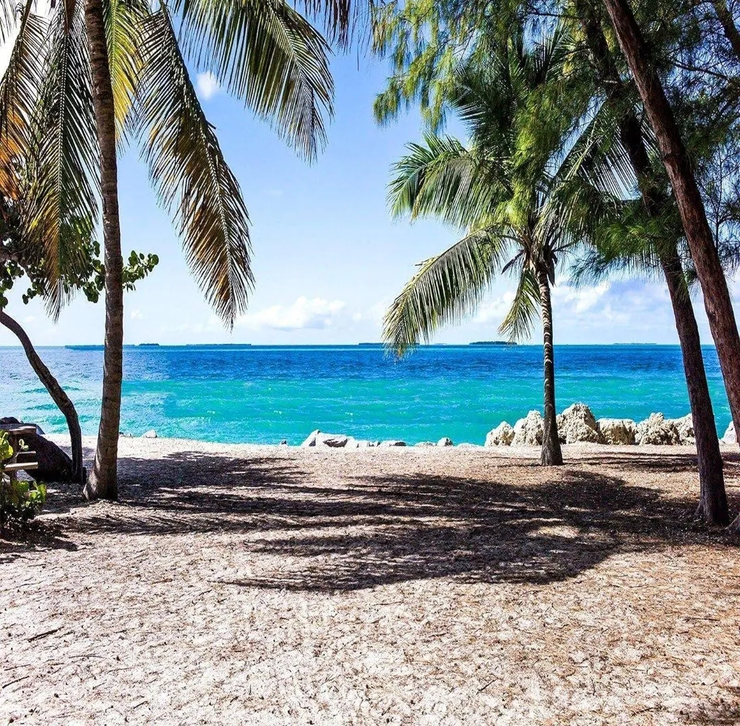 Tropical Beach Backdrop