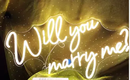 "Will You Marry Me?" Neon Sign