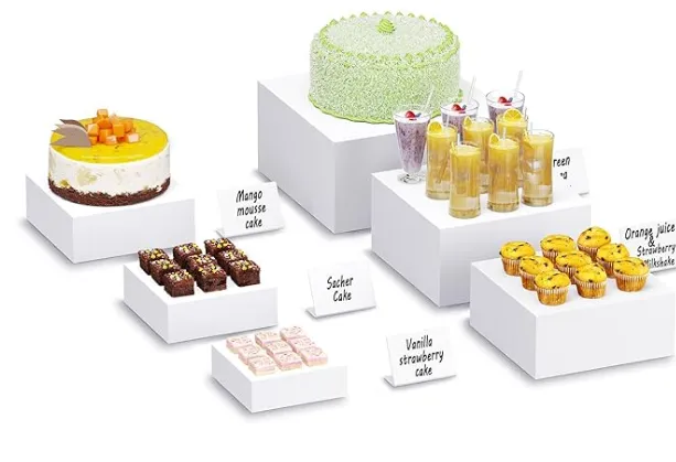 Set of 6 Food Risers for Buffet Table/White Acrylic Cube Boxes