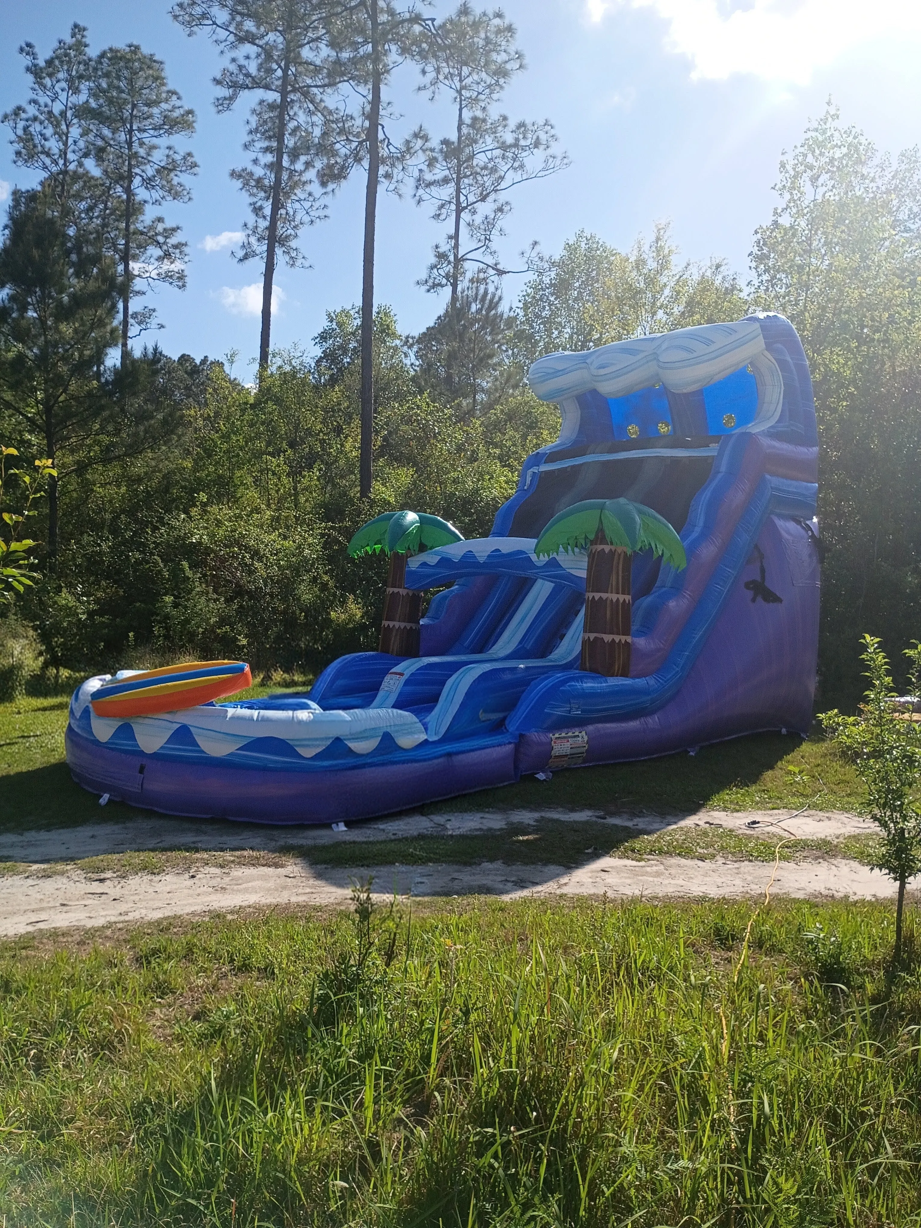 Dual Surf Water Slide