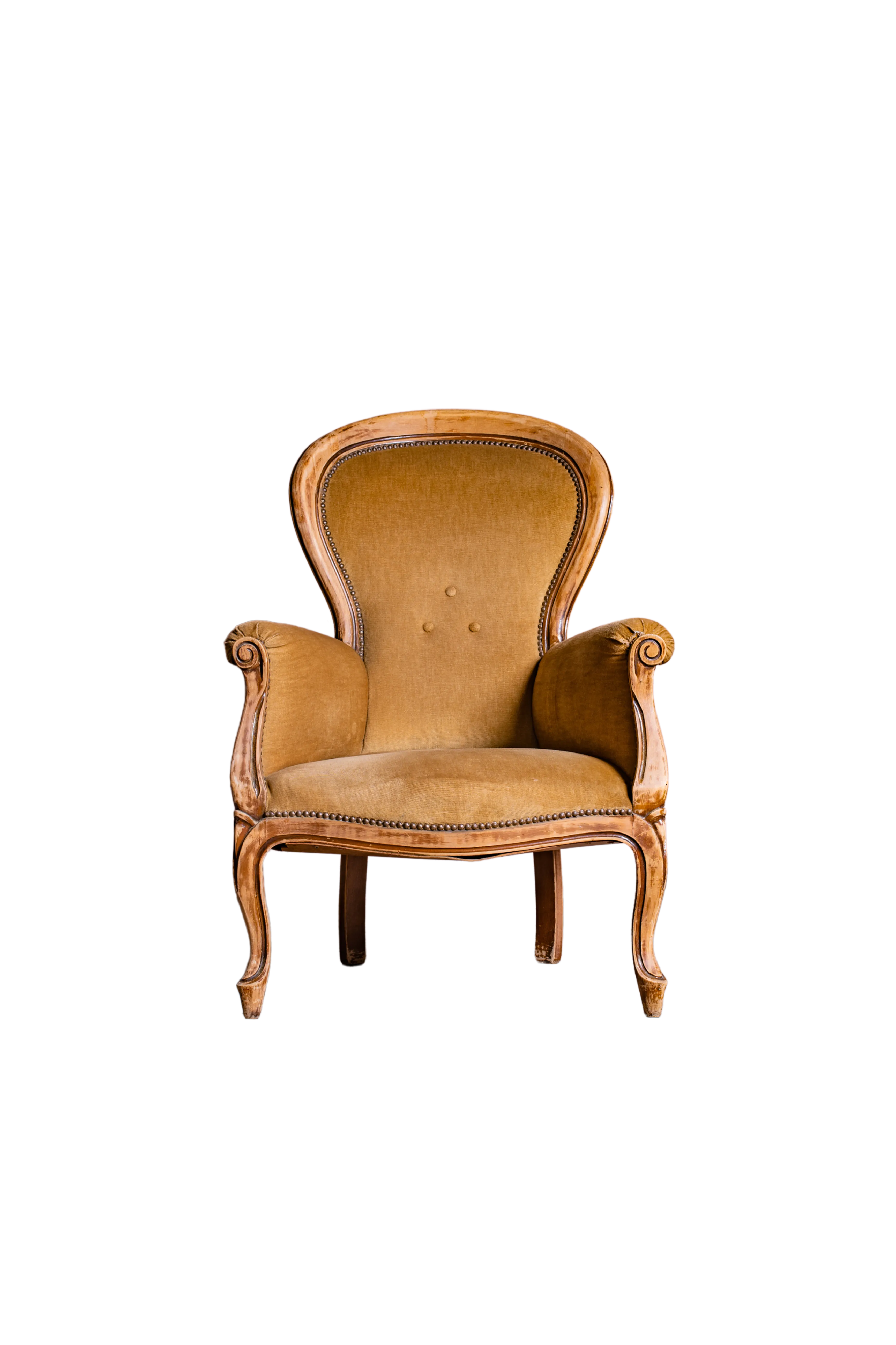 JIGEN - Poltrona in velluto cappuccino