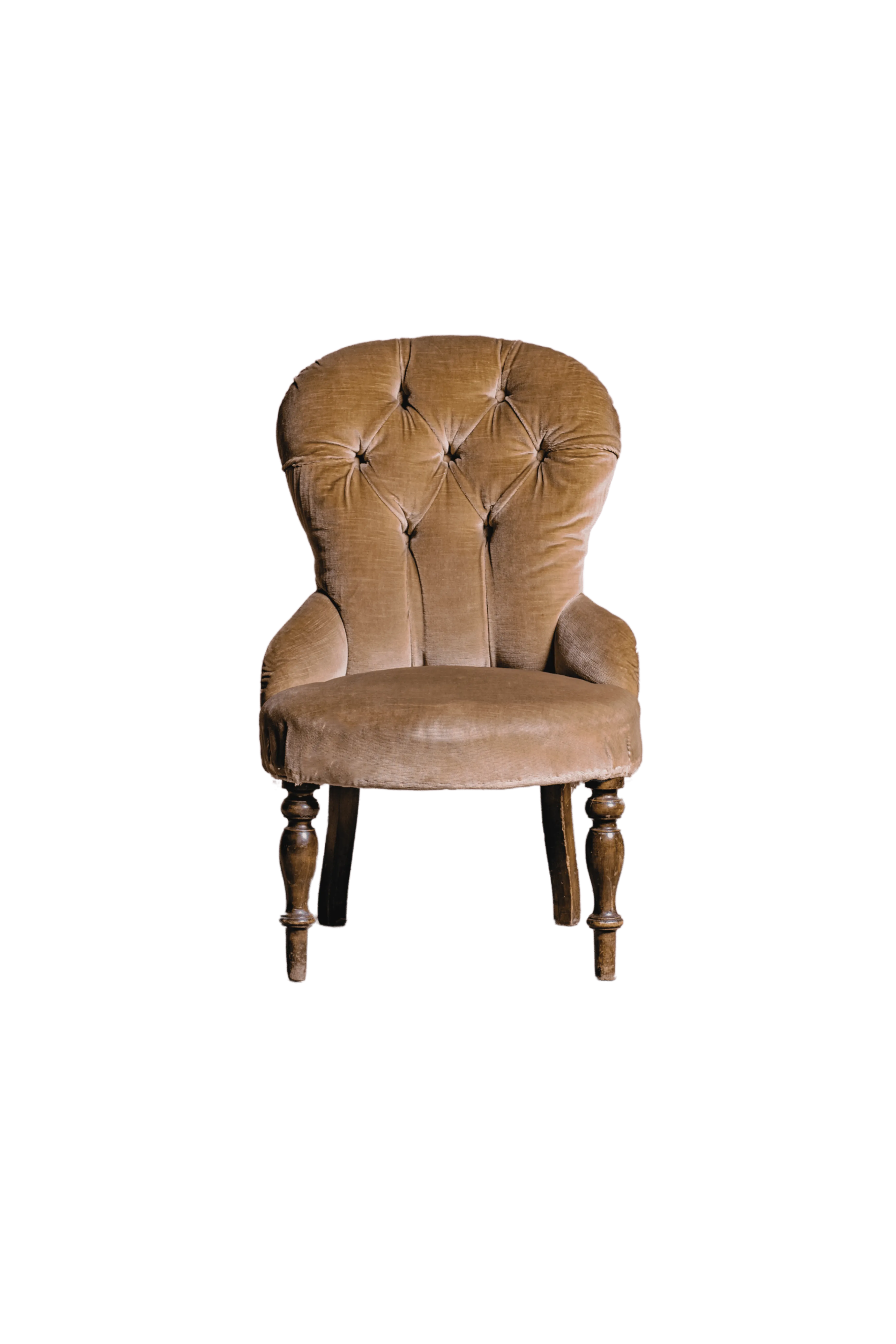 CAPPUCCINA - Poltroncina in velluto cappuccino a noleggio - IRREVERENT