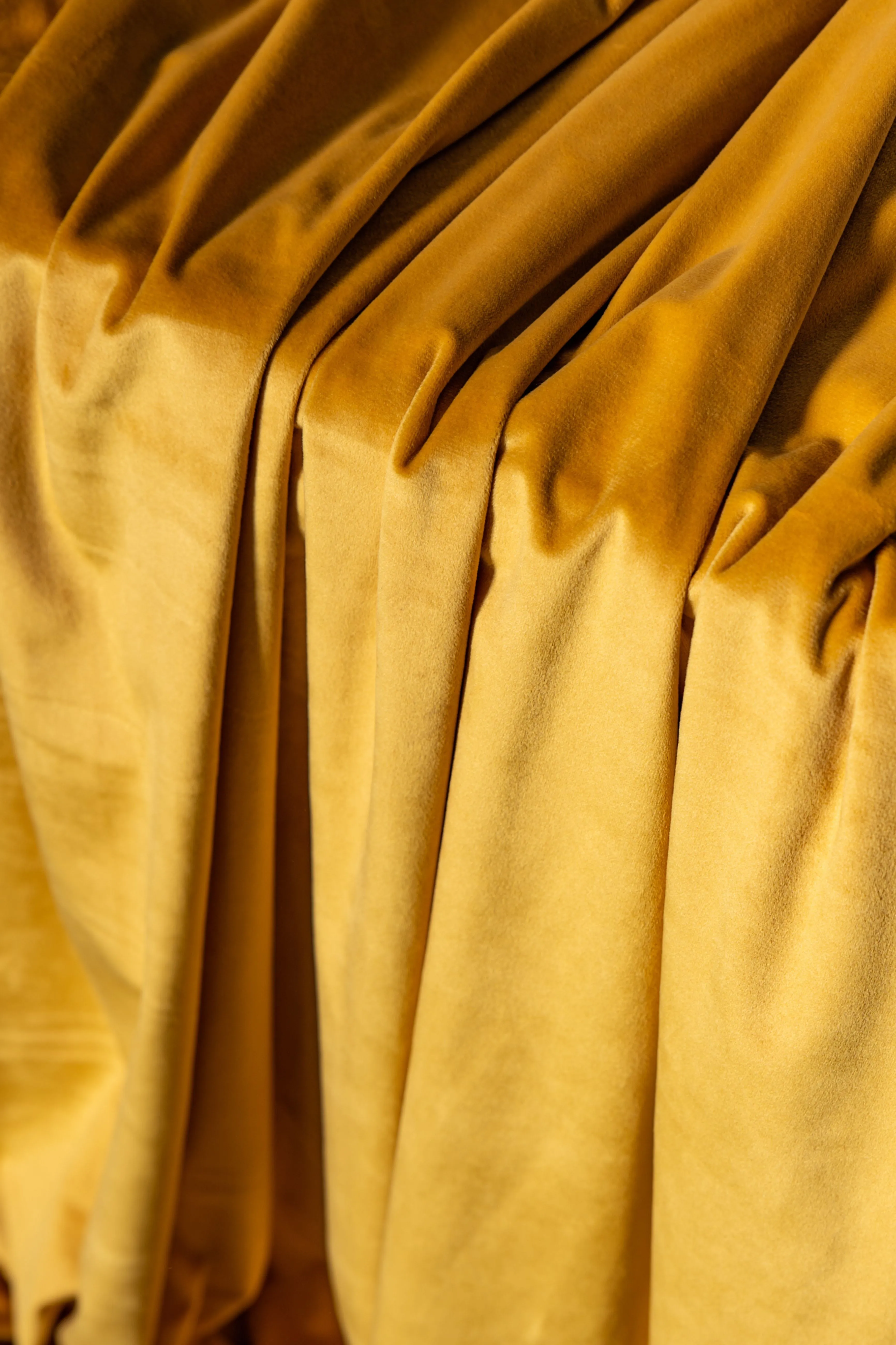 Tessuto velluto pannè giallo senape