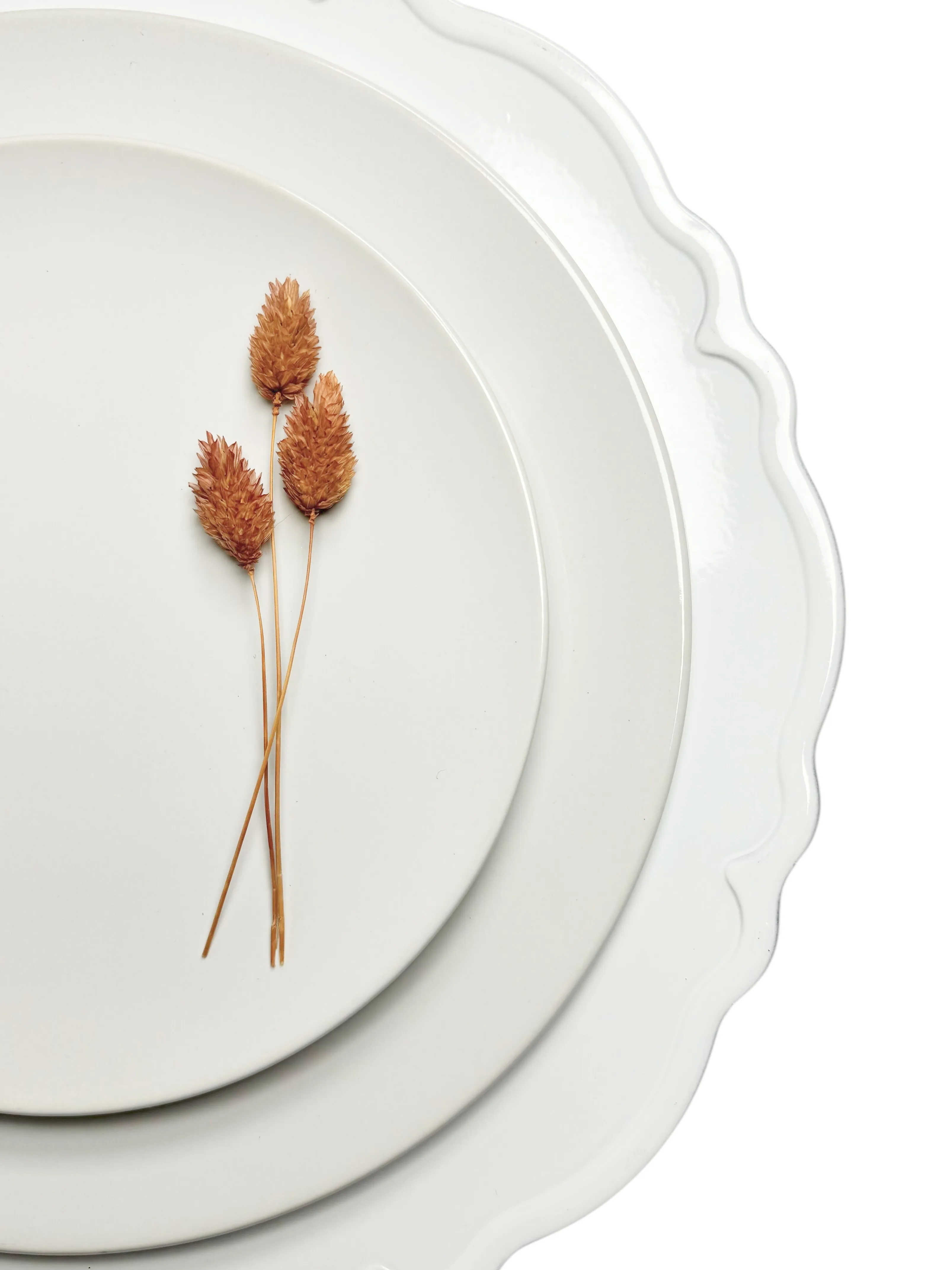 White Scalloped Charger Plates