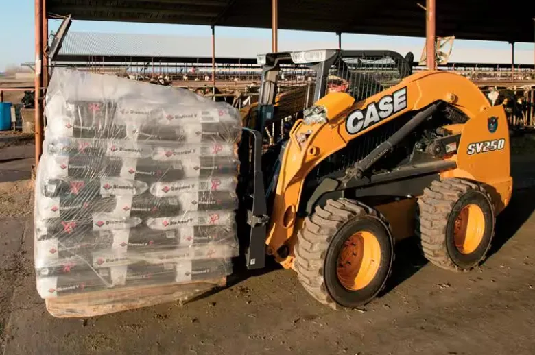 Case SV250 Wheel Skid Steer 2500lb ROL