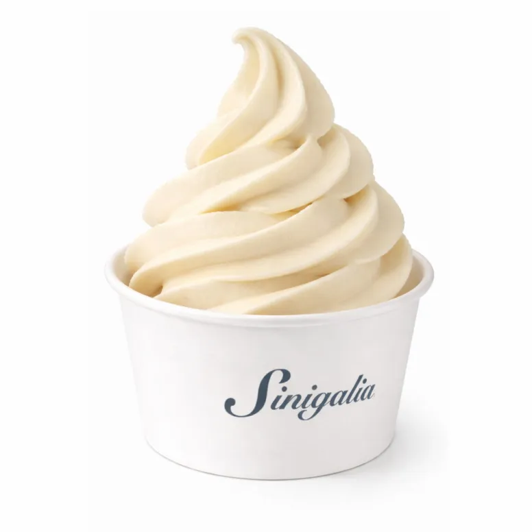 # Mix liquide glace à l'italienne - 5,5kg