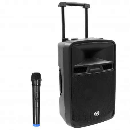 Enceinte Amplifiée sur Batterie Bluetooth + 2 Micro HF