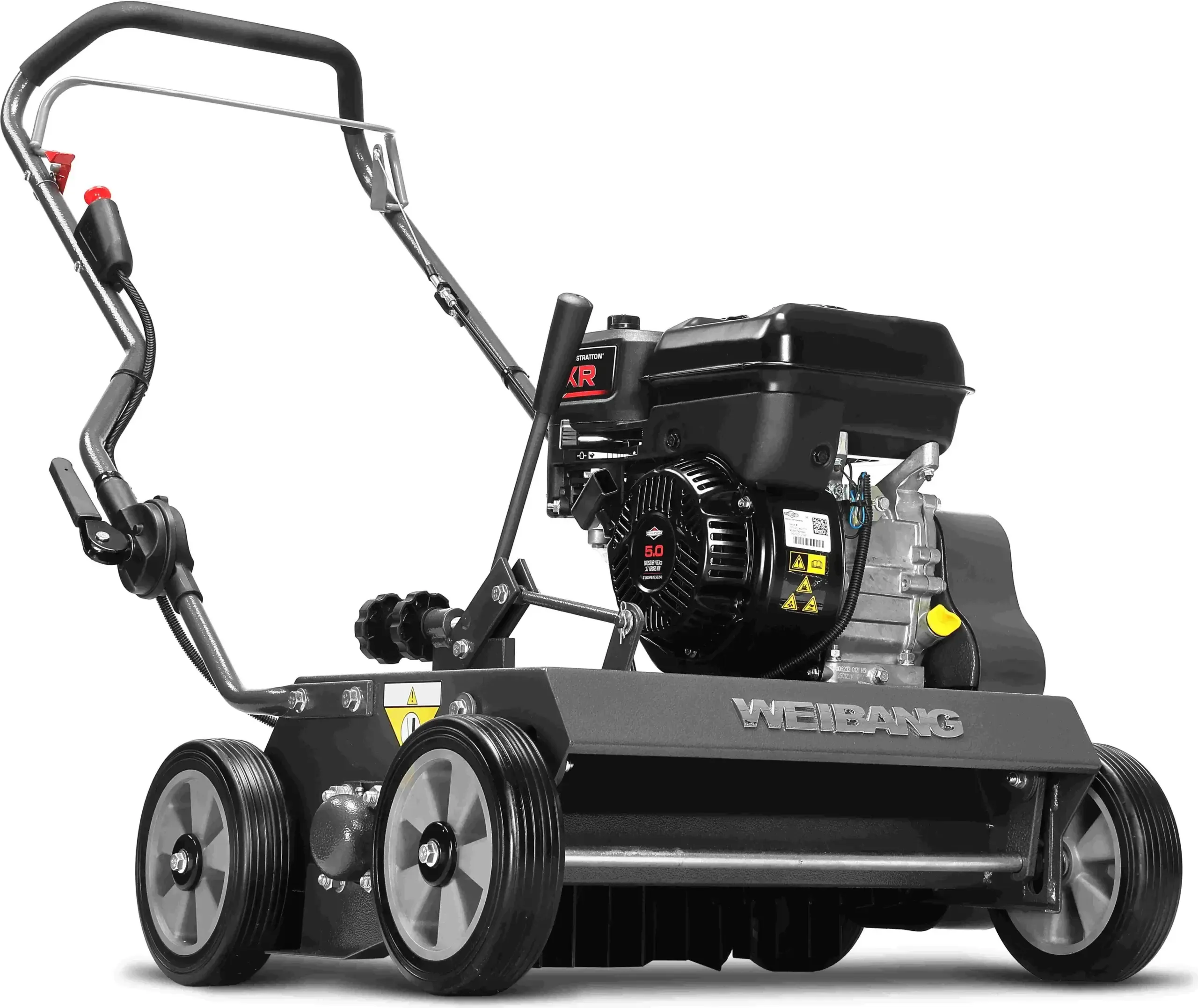 Zāliena skarifikators Weibang WB486CRB