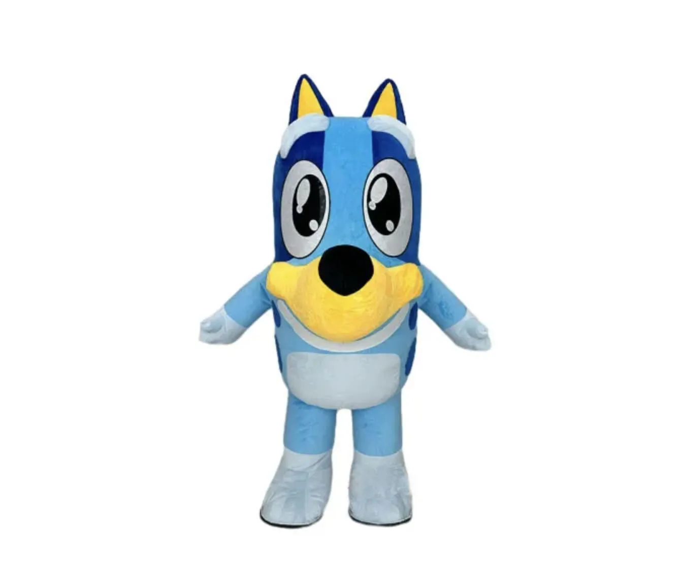 Location mascotte Bluey Montréal