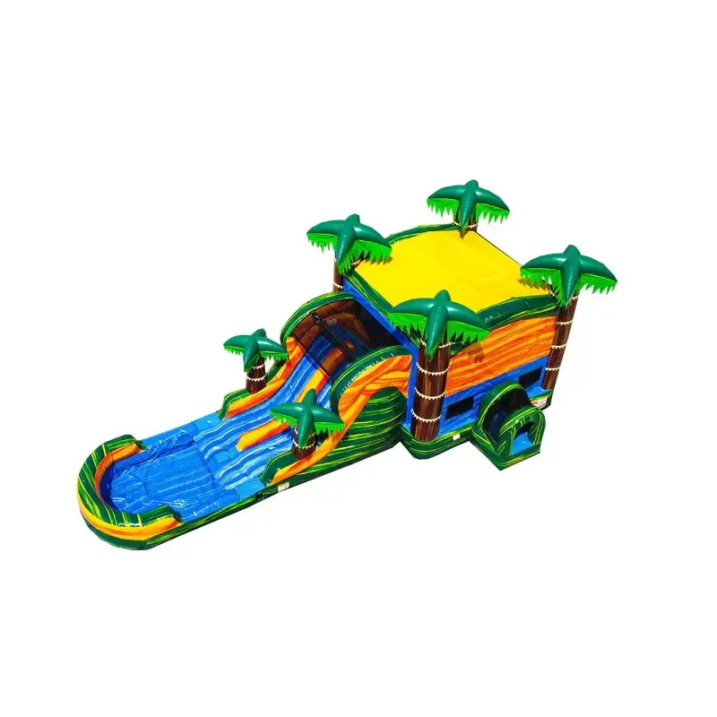 Cali Palms Bounce House & Dual Lane Slide Combo (Pool)