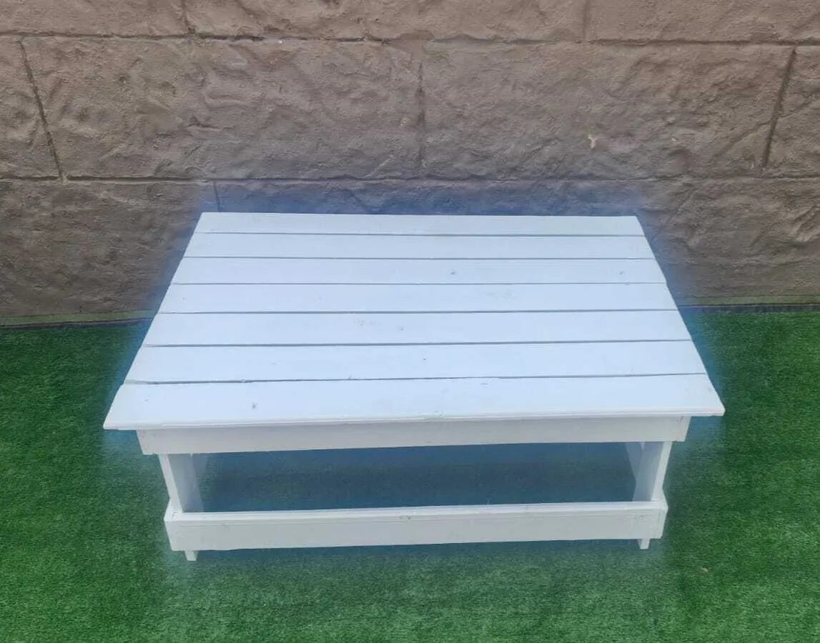 Pallet white coffee  table