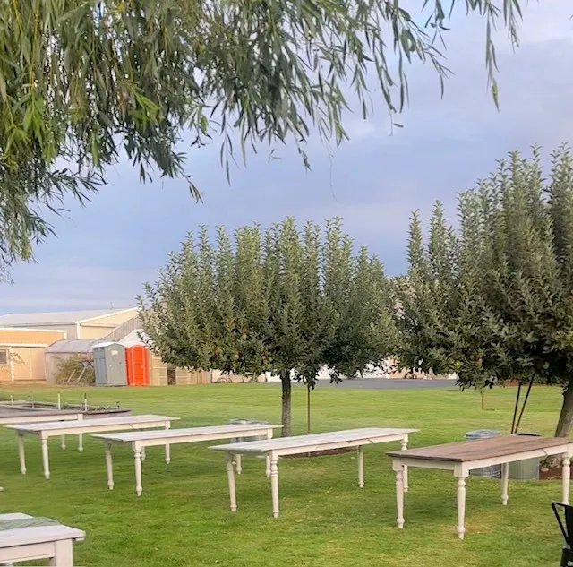 White Washed Rustic Wood Table