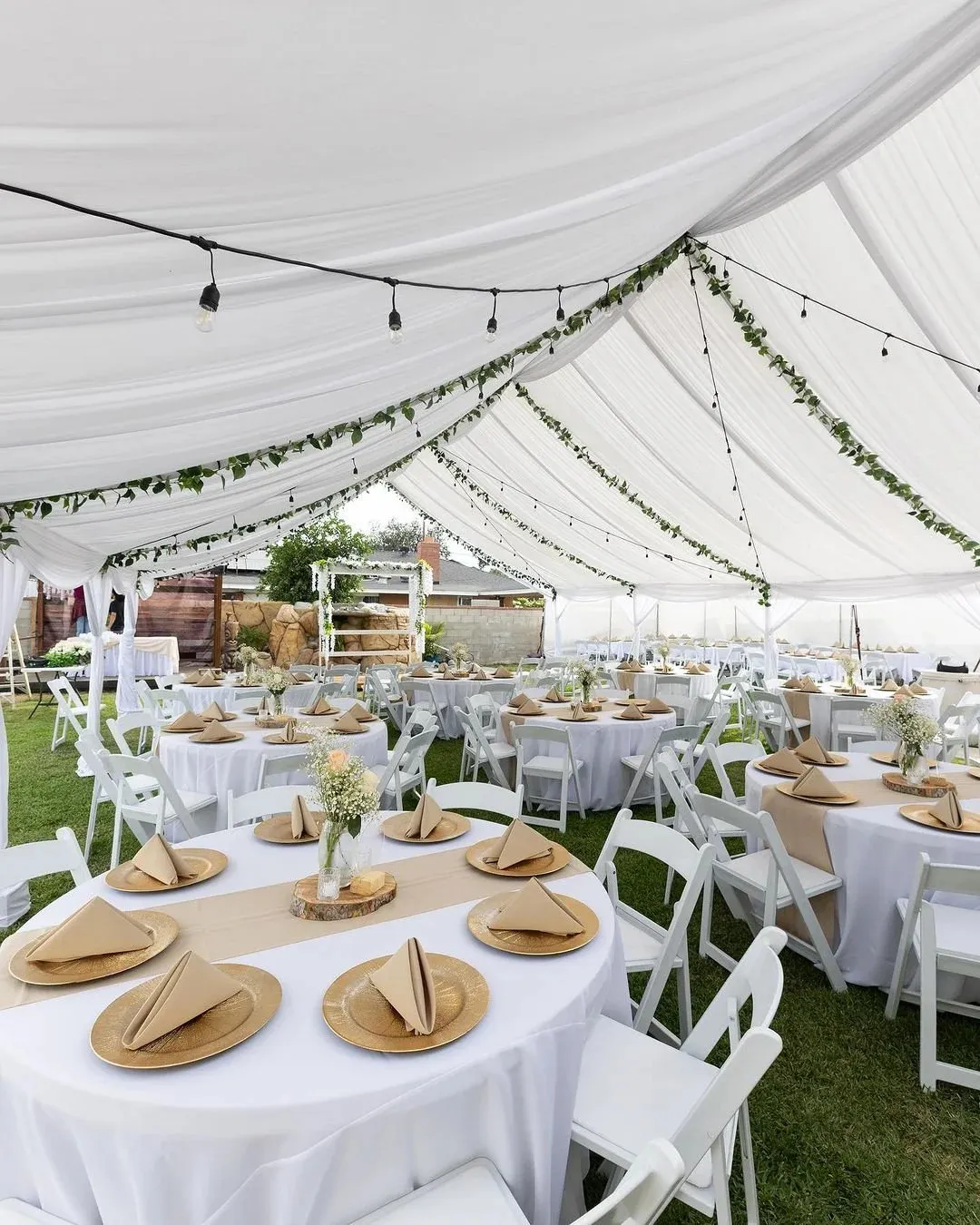 10x40 Tent With Draping