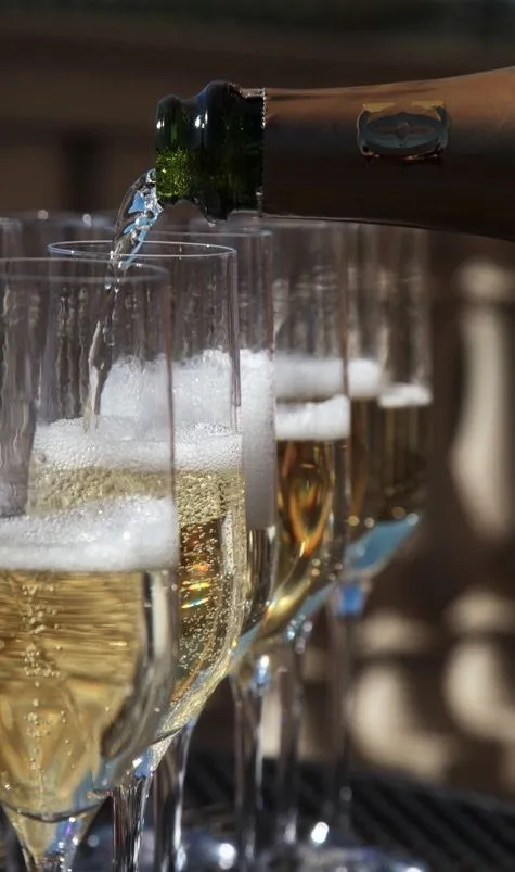 Cavaglas - herbruikbaar plastic  