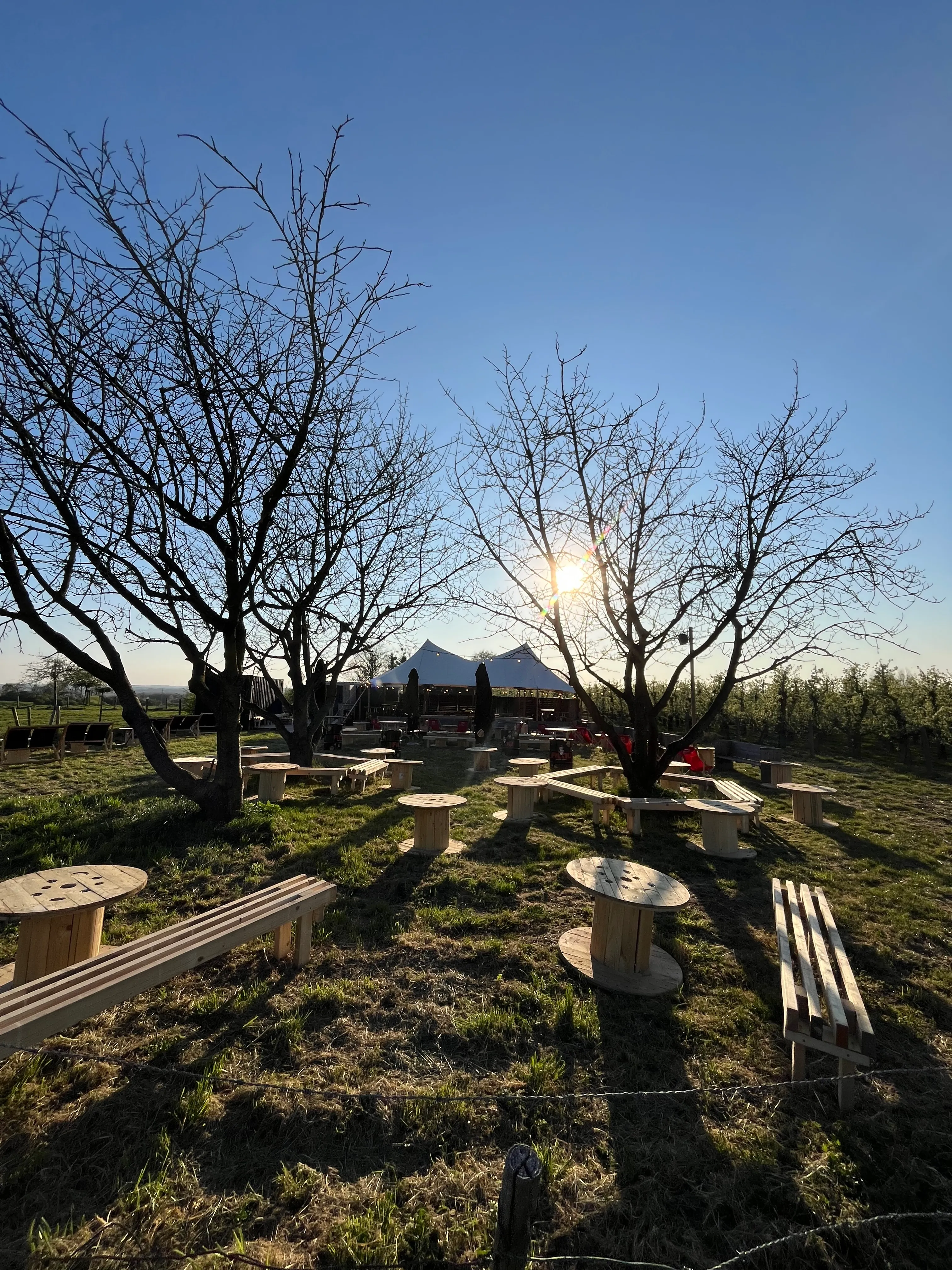 Ceremoniebank - hout 