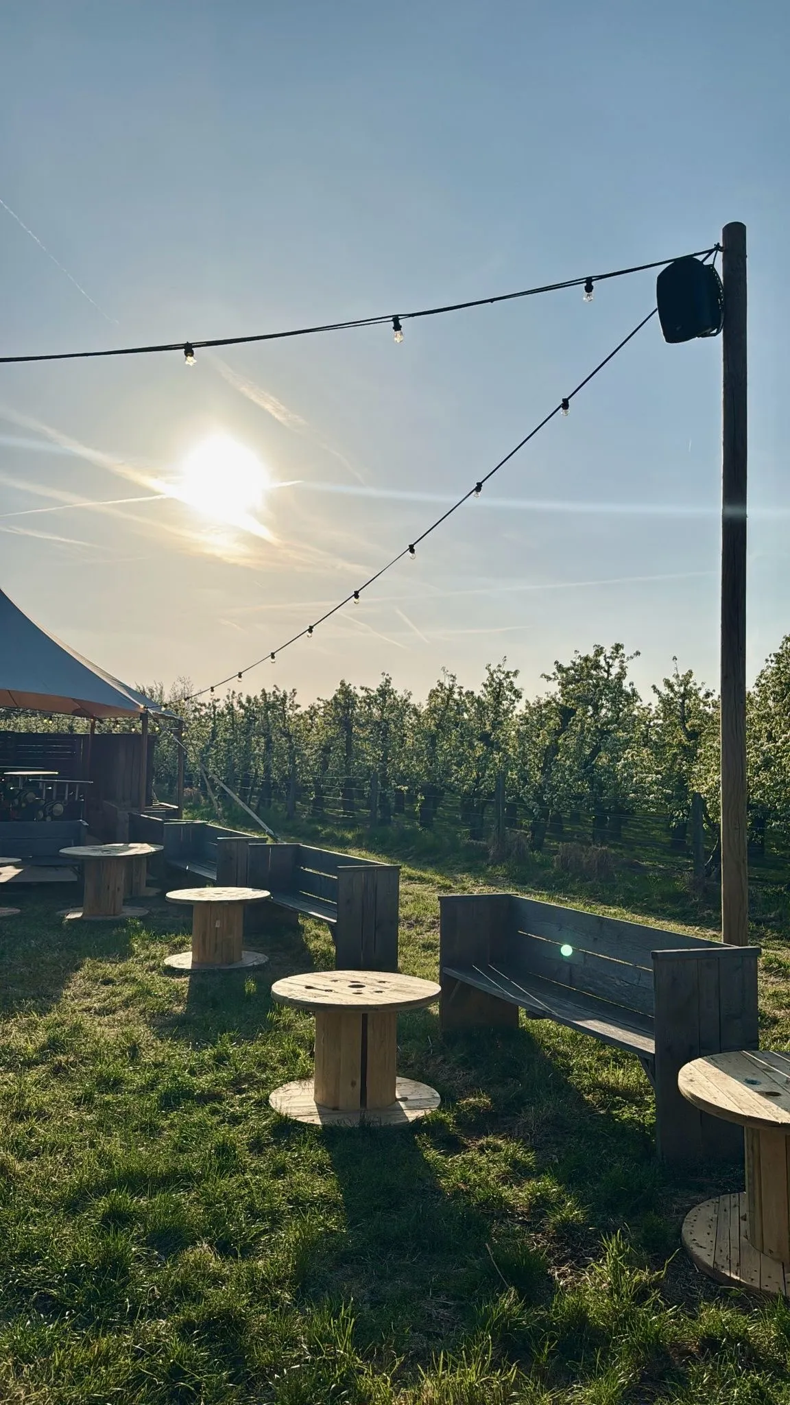 Zitbank -  steigerhout