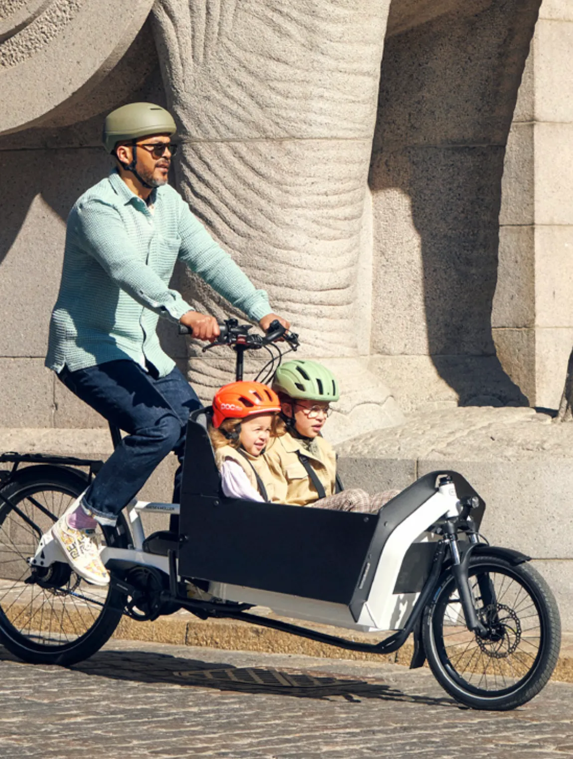 Bici eléctrica cargo familiar - delantera
