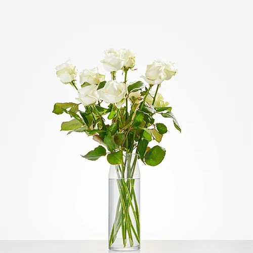 Versbloemen naar keuze