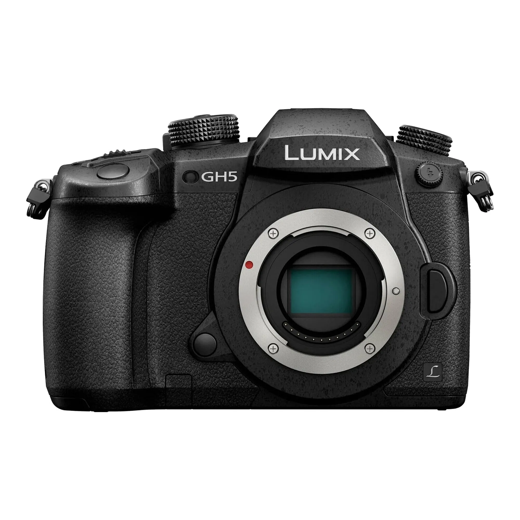 Panasonic GH5