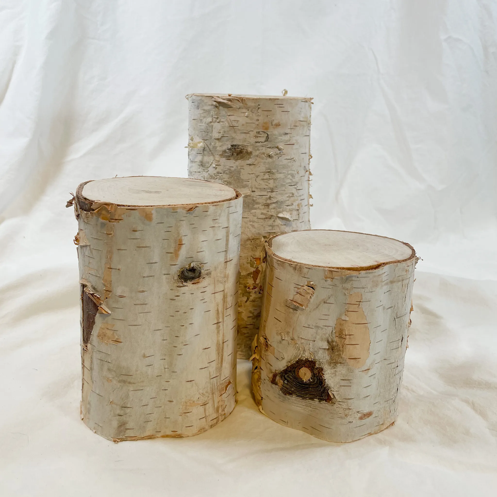 Birch Wood Stands