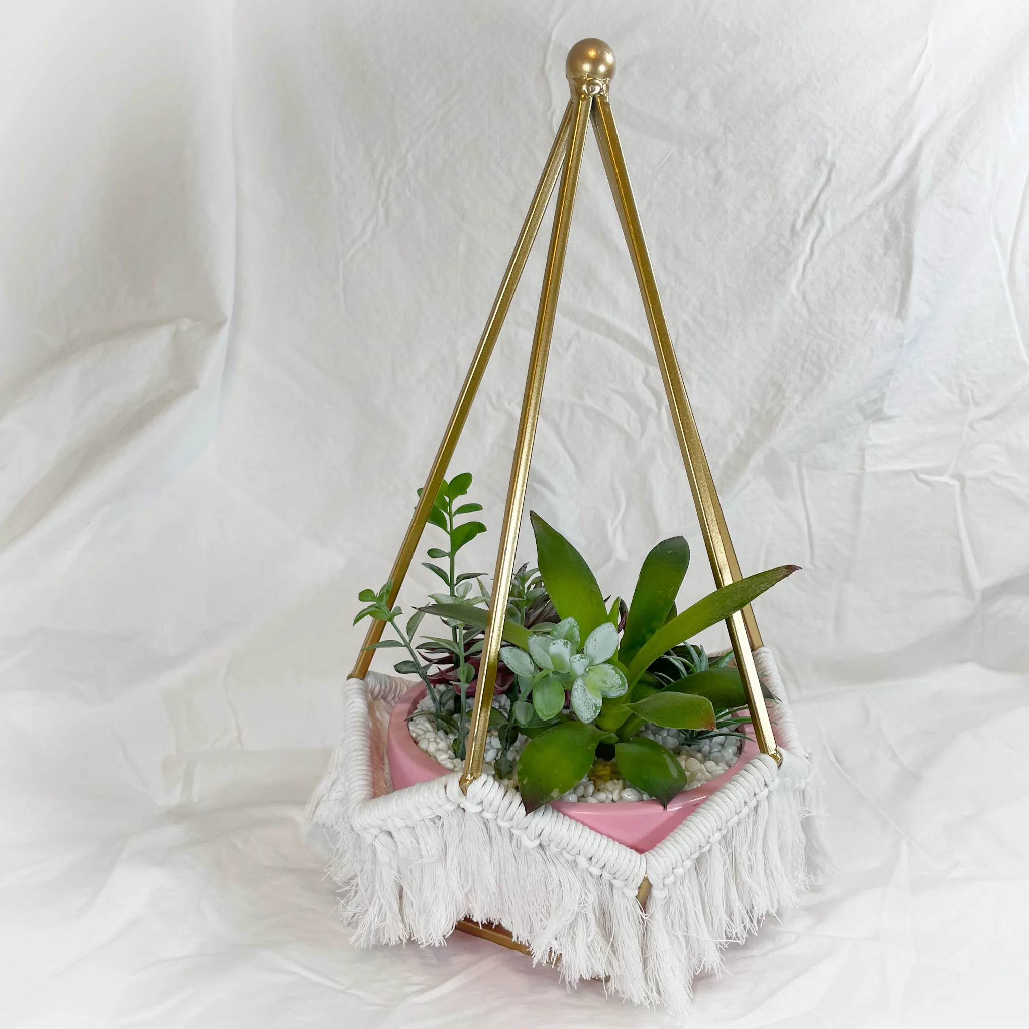 Pink Geo Succulent Container 