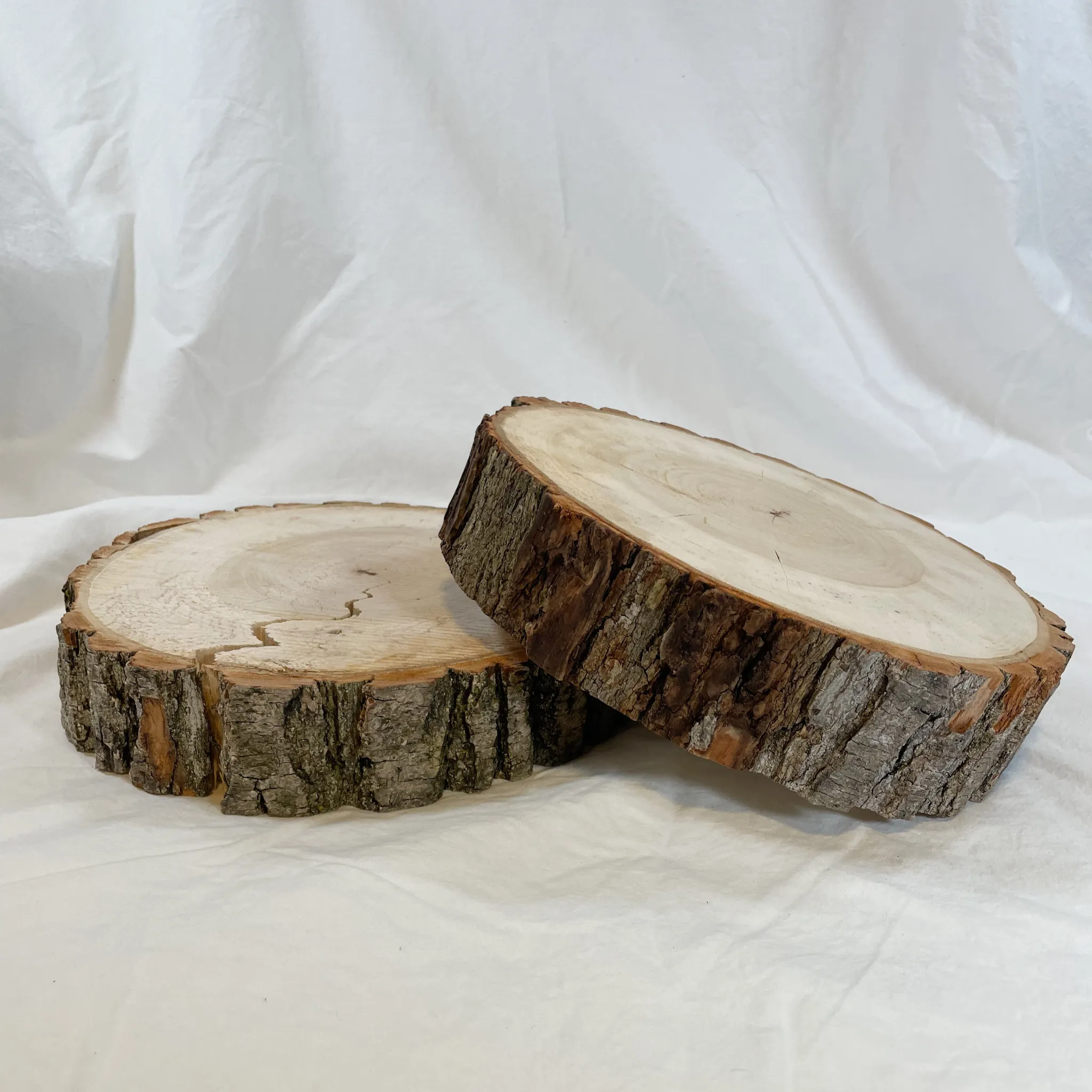 Wood Slices