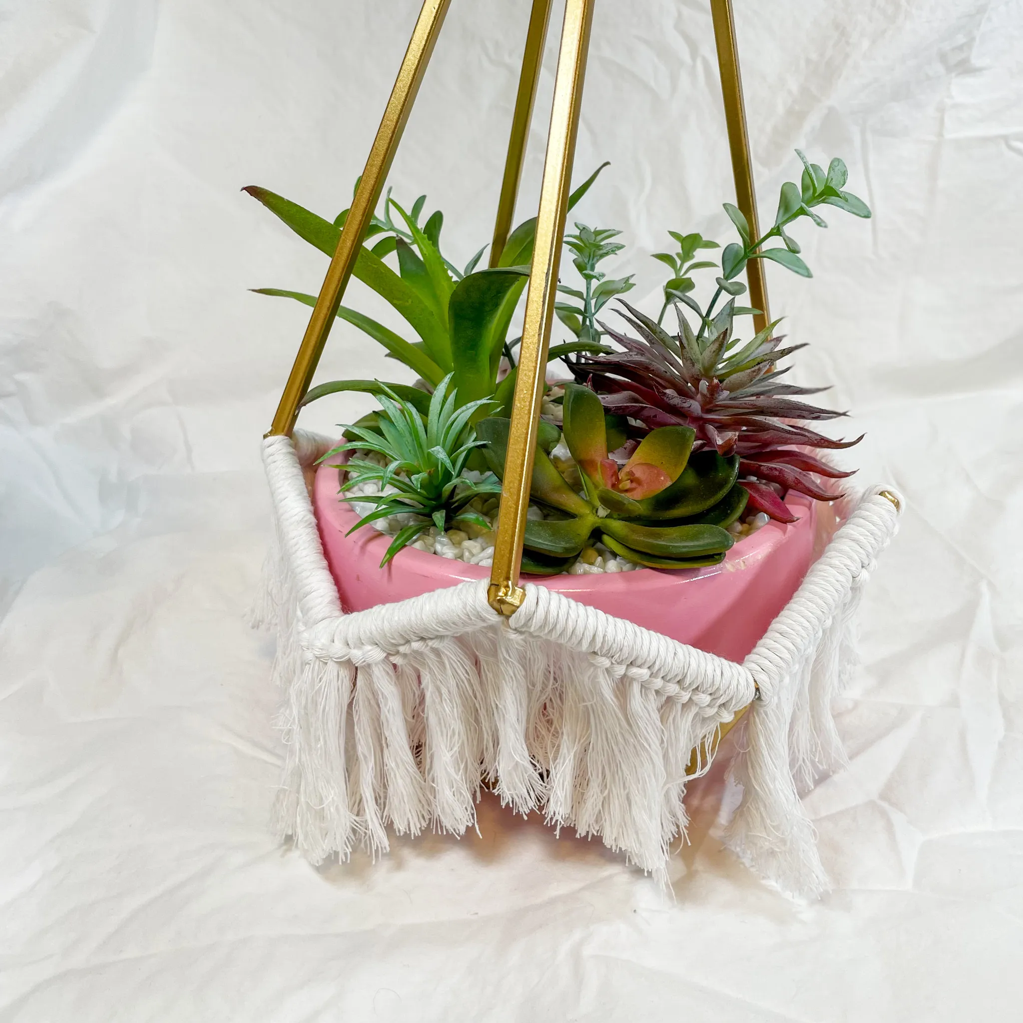 Pink Geo Succulent Container 