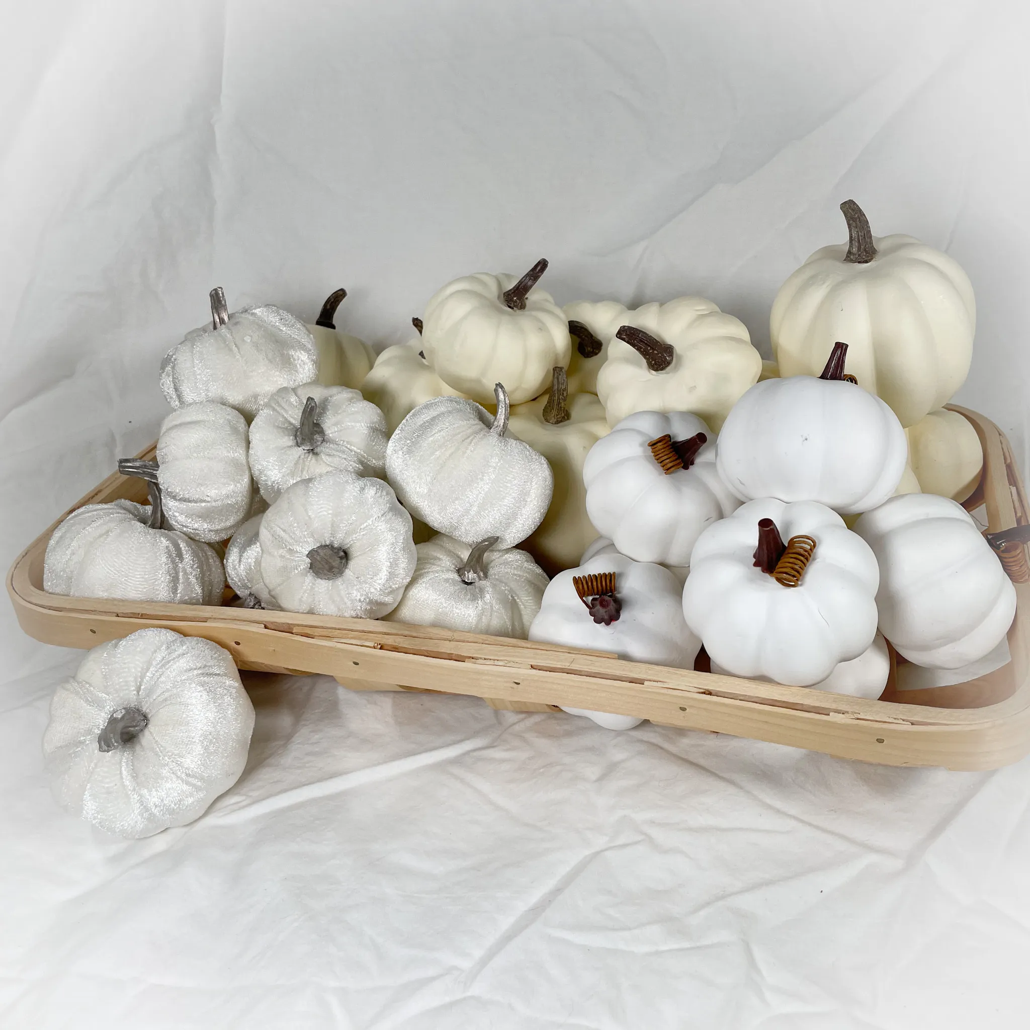 White Pumpkin Assortment