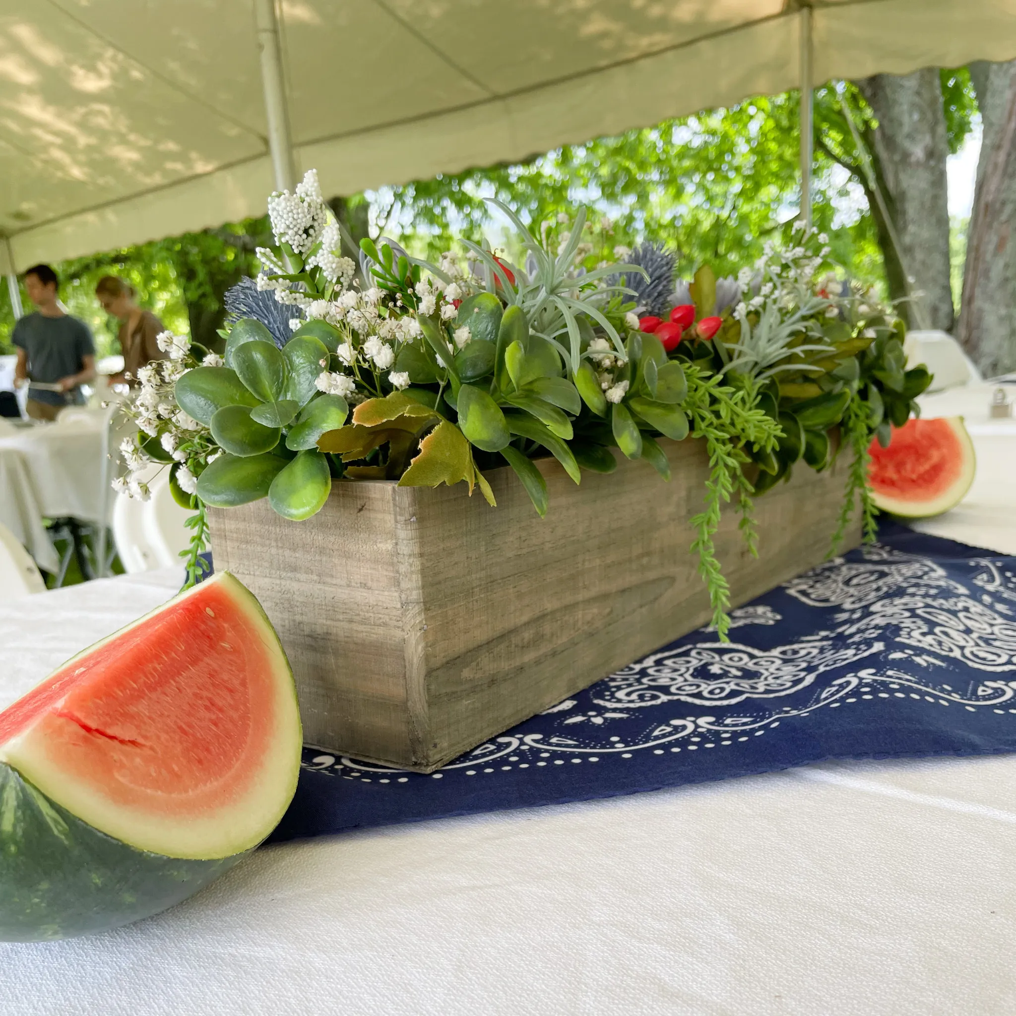 Red, Blue, and Fireworks