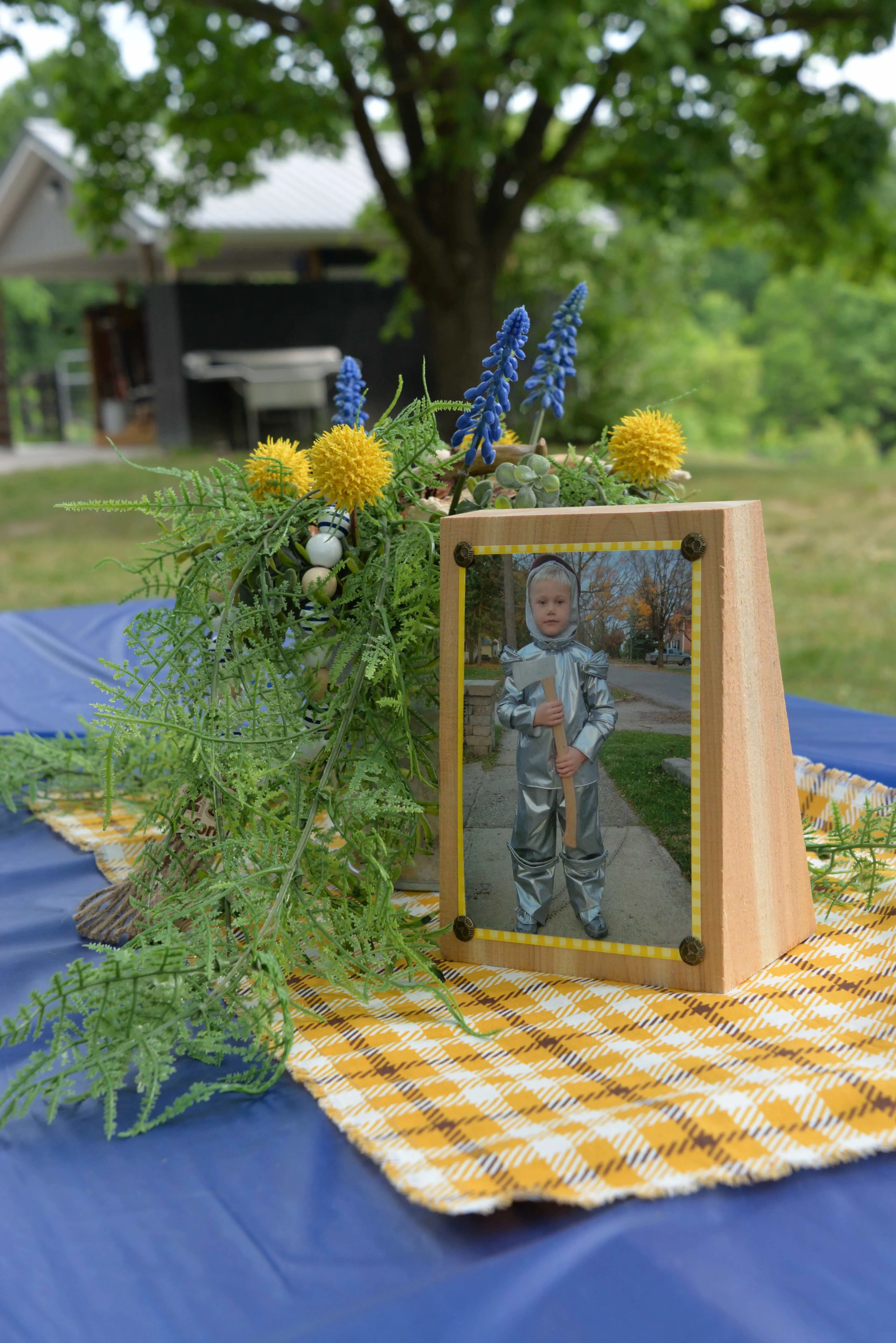 Accent Cloth, Yellow and Brown