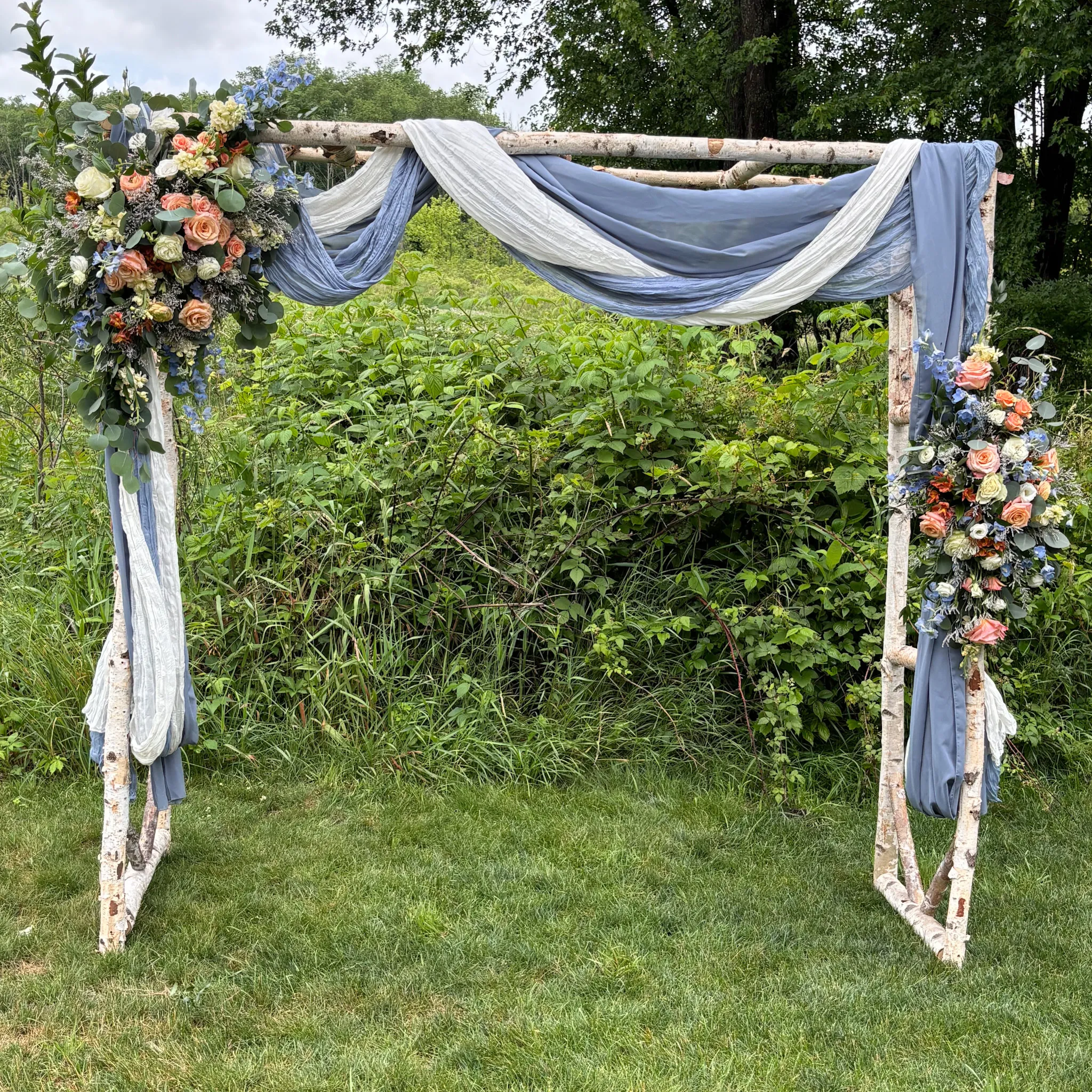 Birch Wood Arch