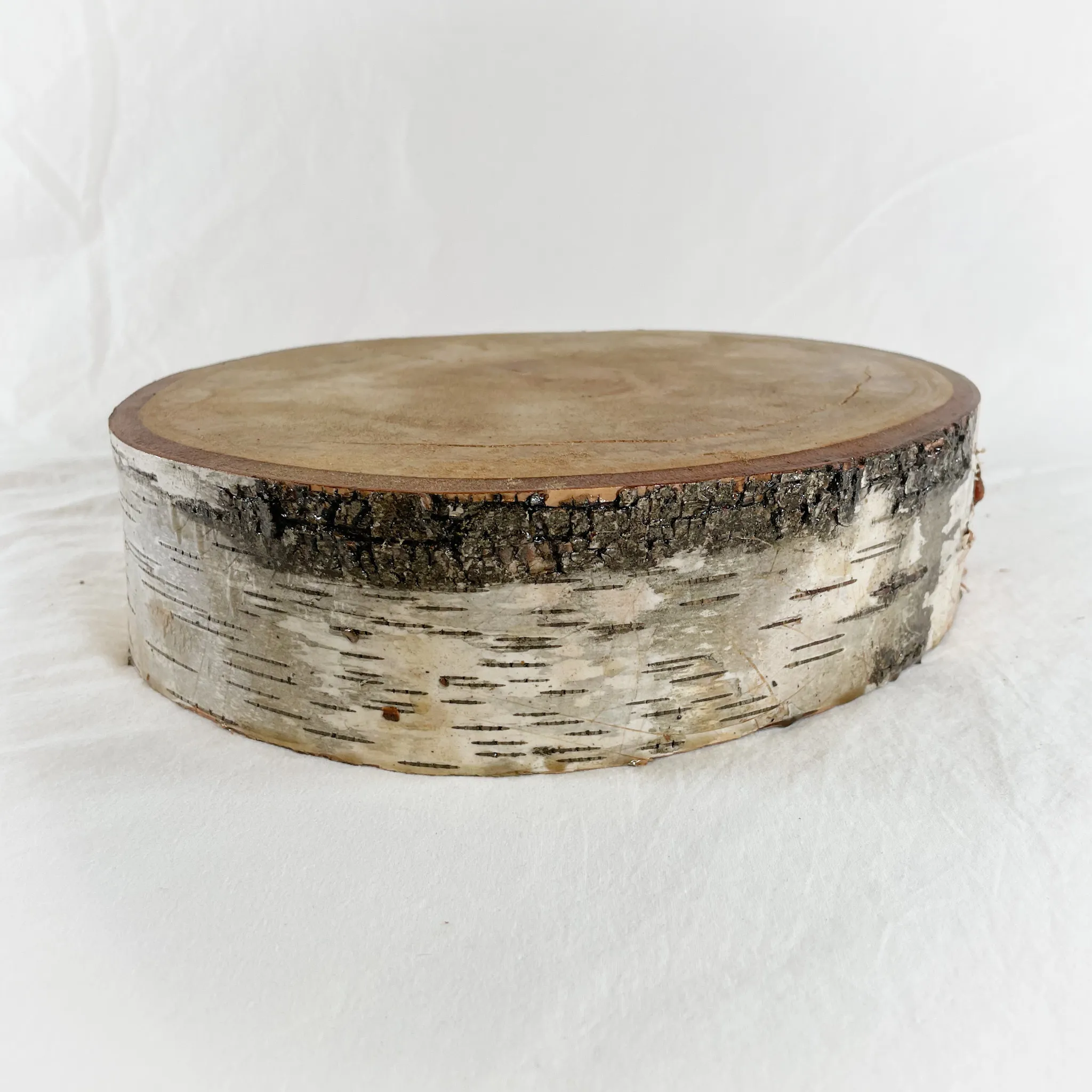 Birch Wood Slices