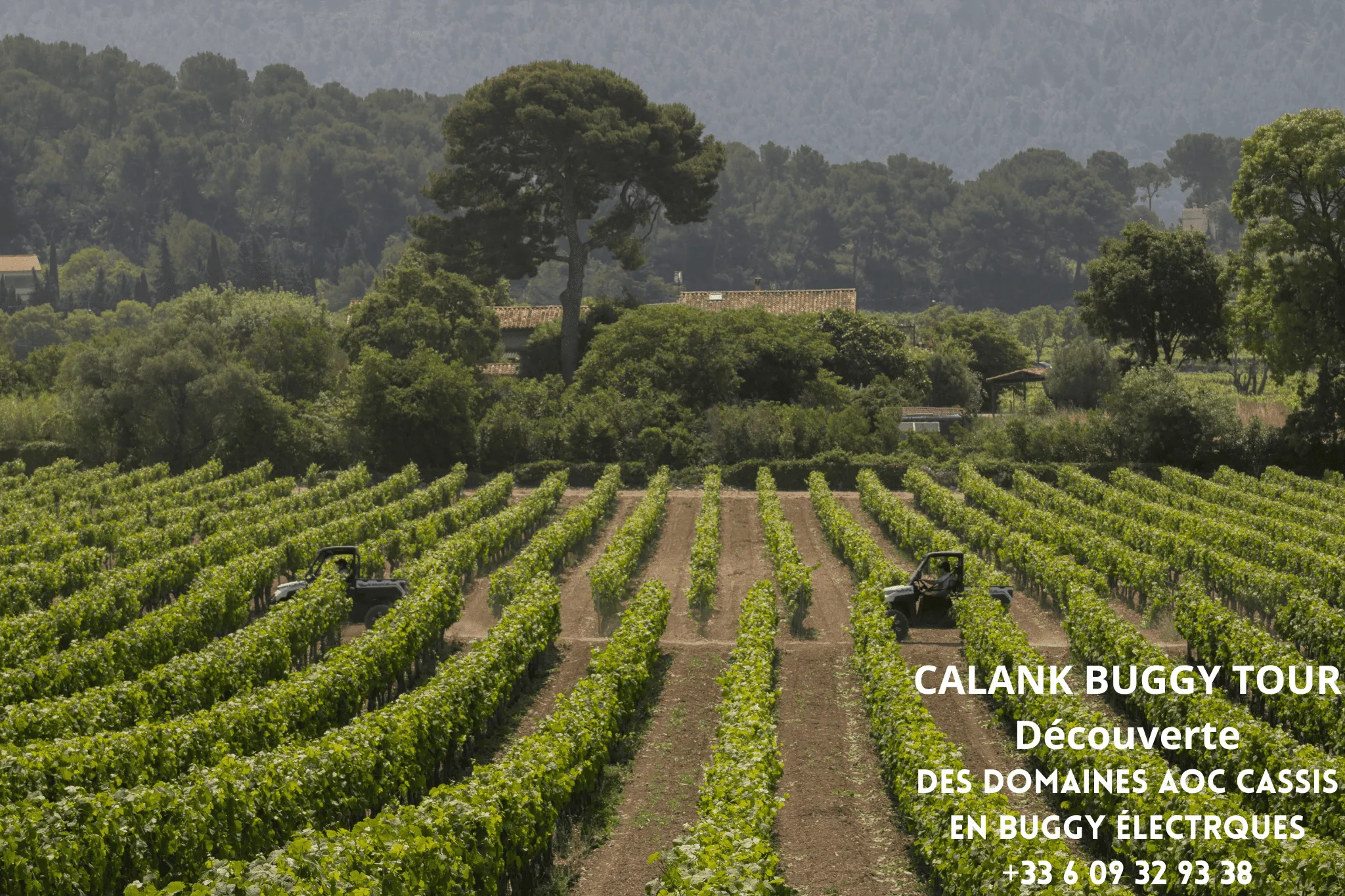 Calank Buggy Tour Cassis