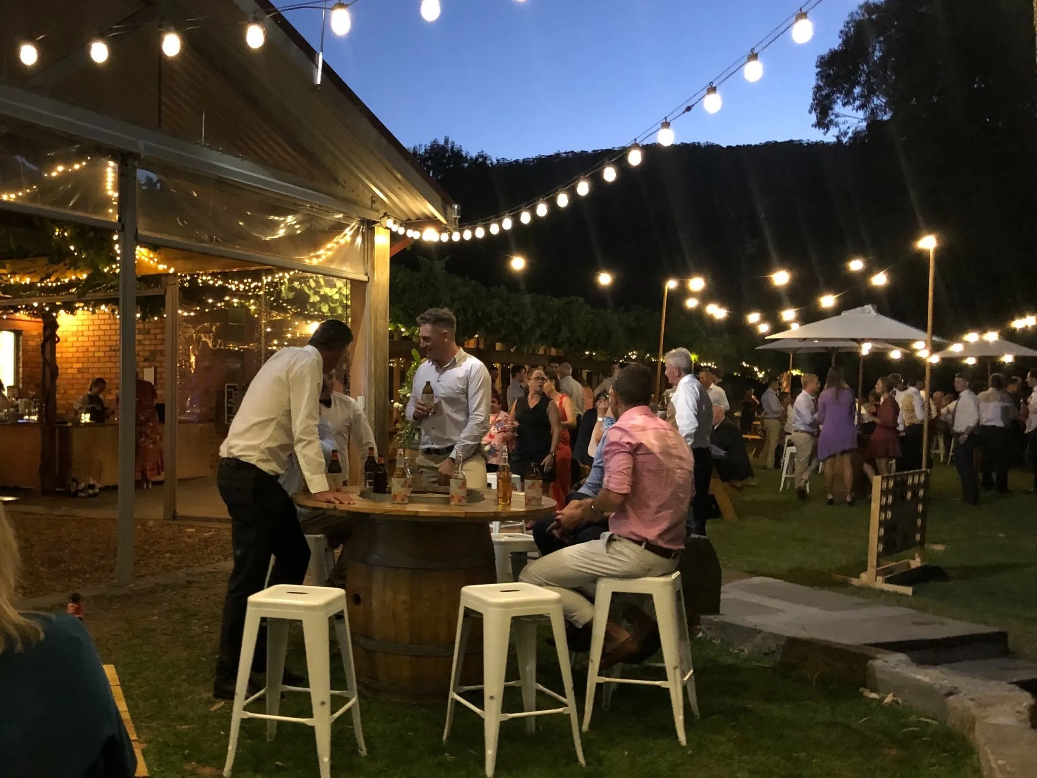 Festoon Lights 20m Warm White Globes 