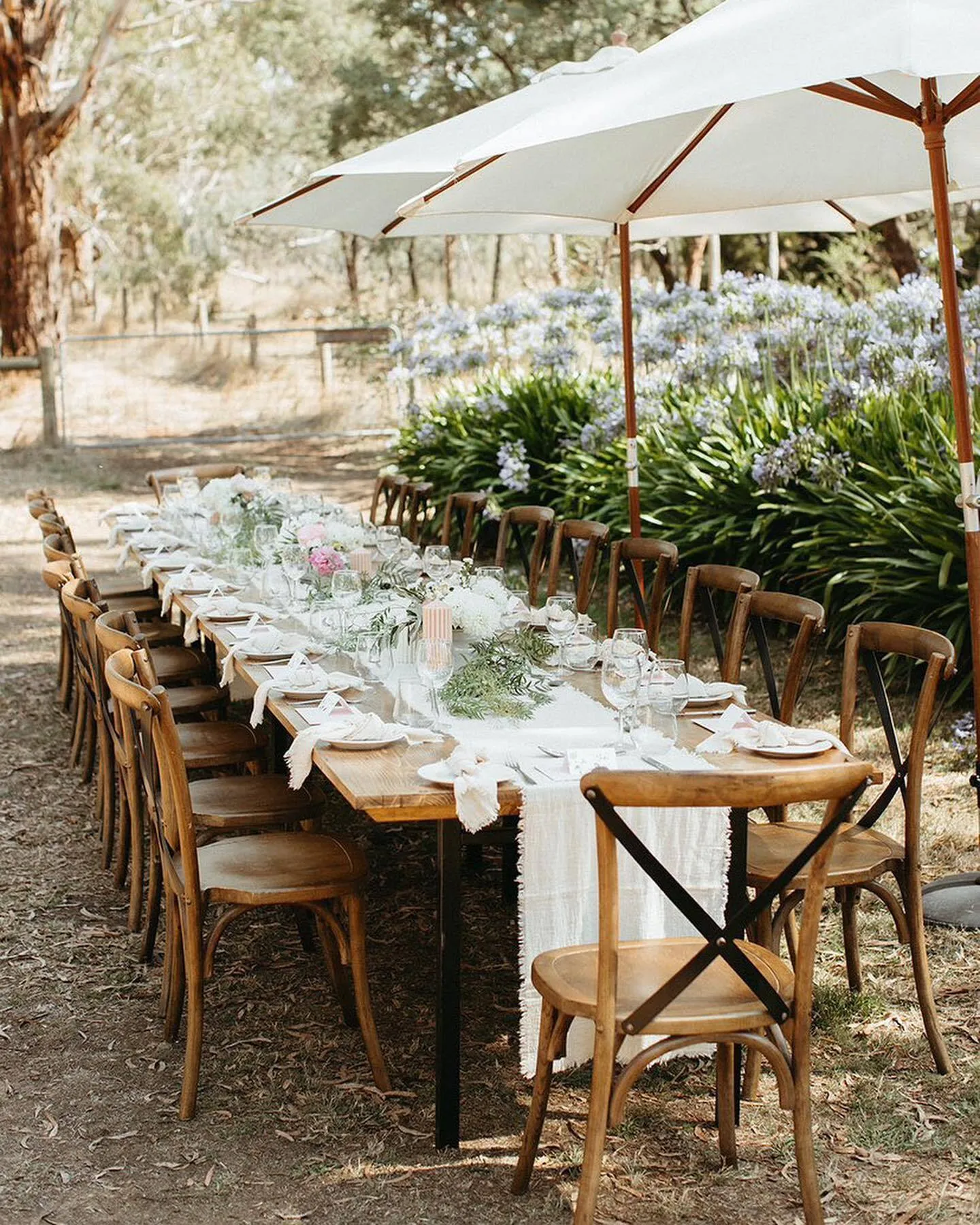 DINING - DINNER DONE RIGHT: 