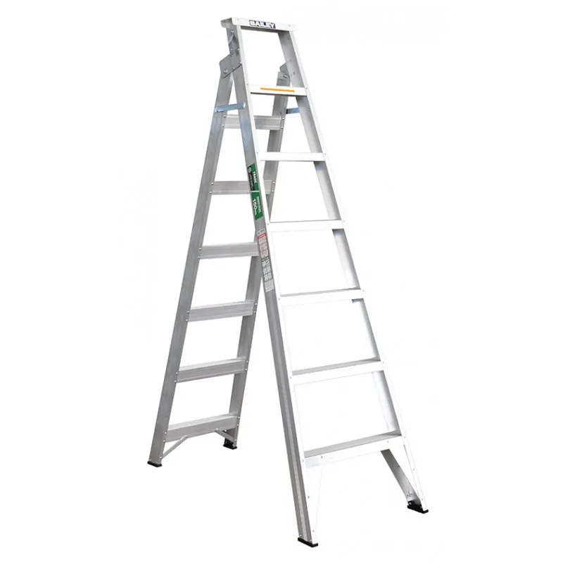 Extendable Ladder