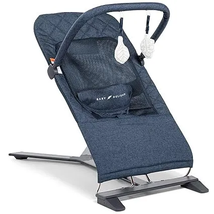 Baby Delight Alpine Deluxe Bouncer 