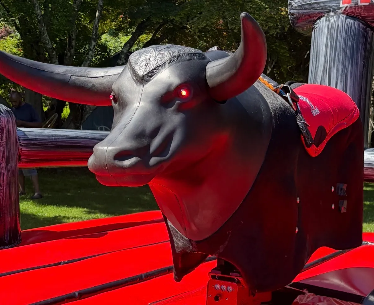 Mechanical bull