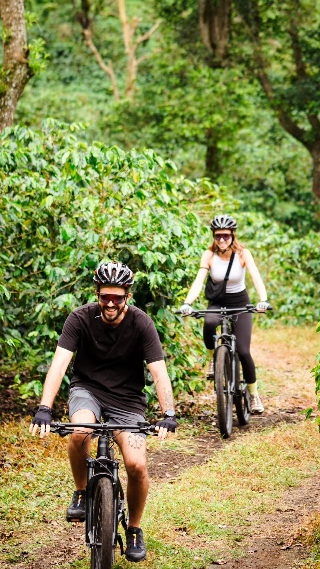 Coffee Tasting Guided Tour