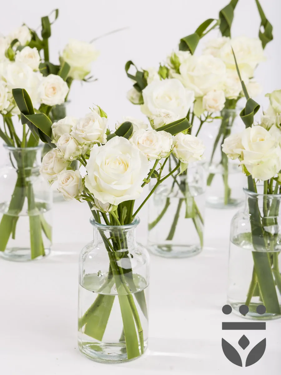 CENTERPIECES