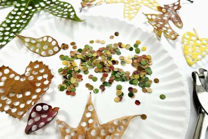 Eco-friendly Confetti (punched from fresh leaves) minimum 30
