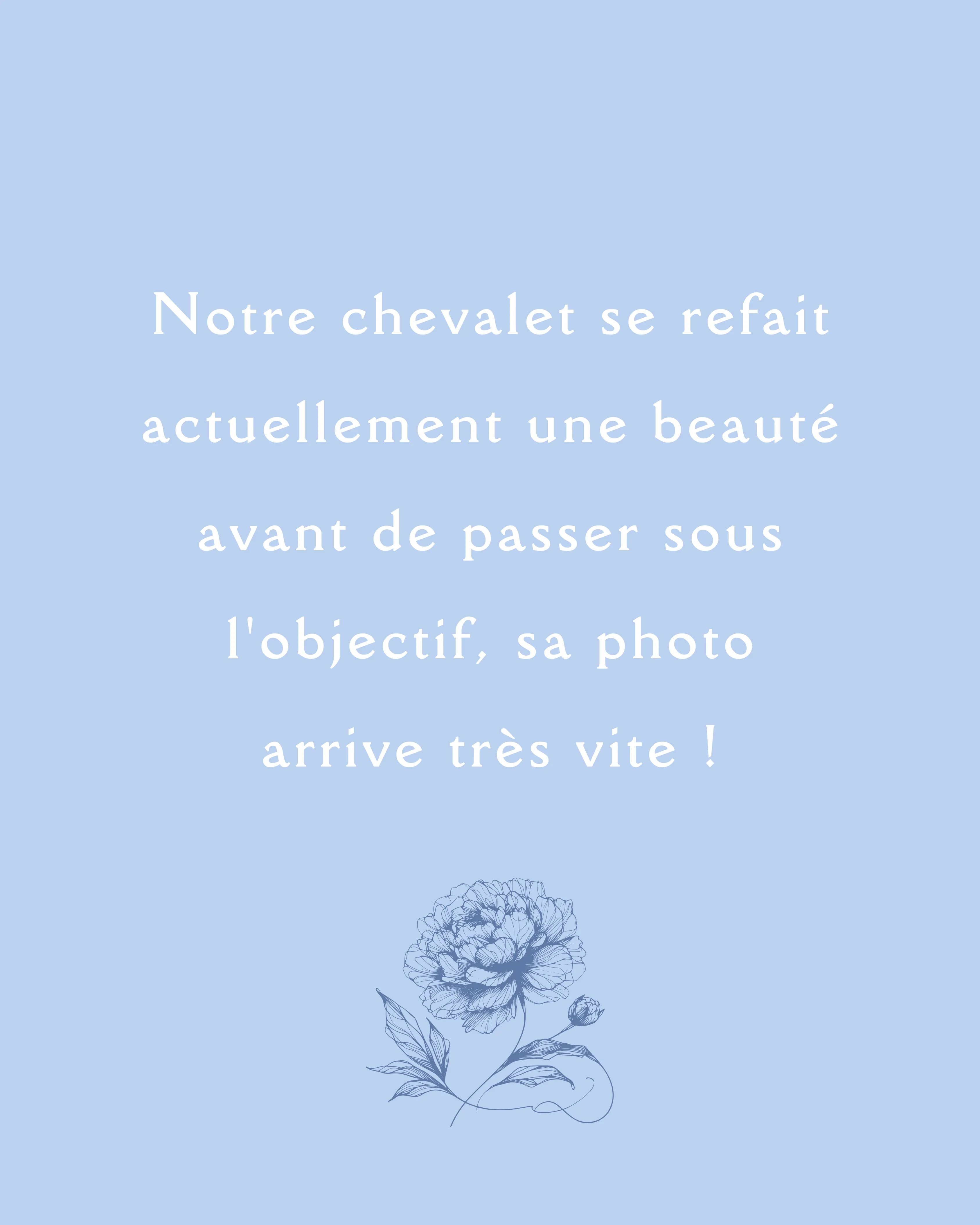 CHEVALET ROMANTIQUE | Fer Forgé Blanc Cassé