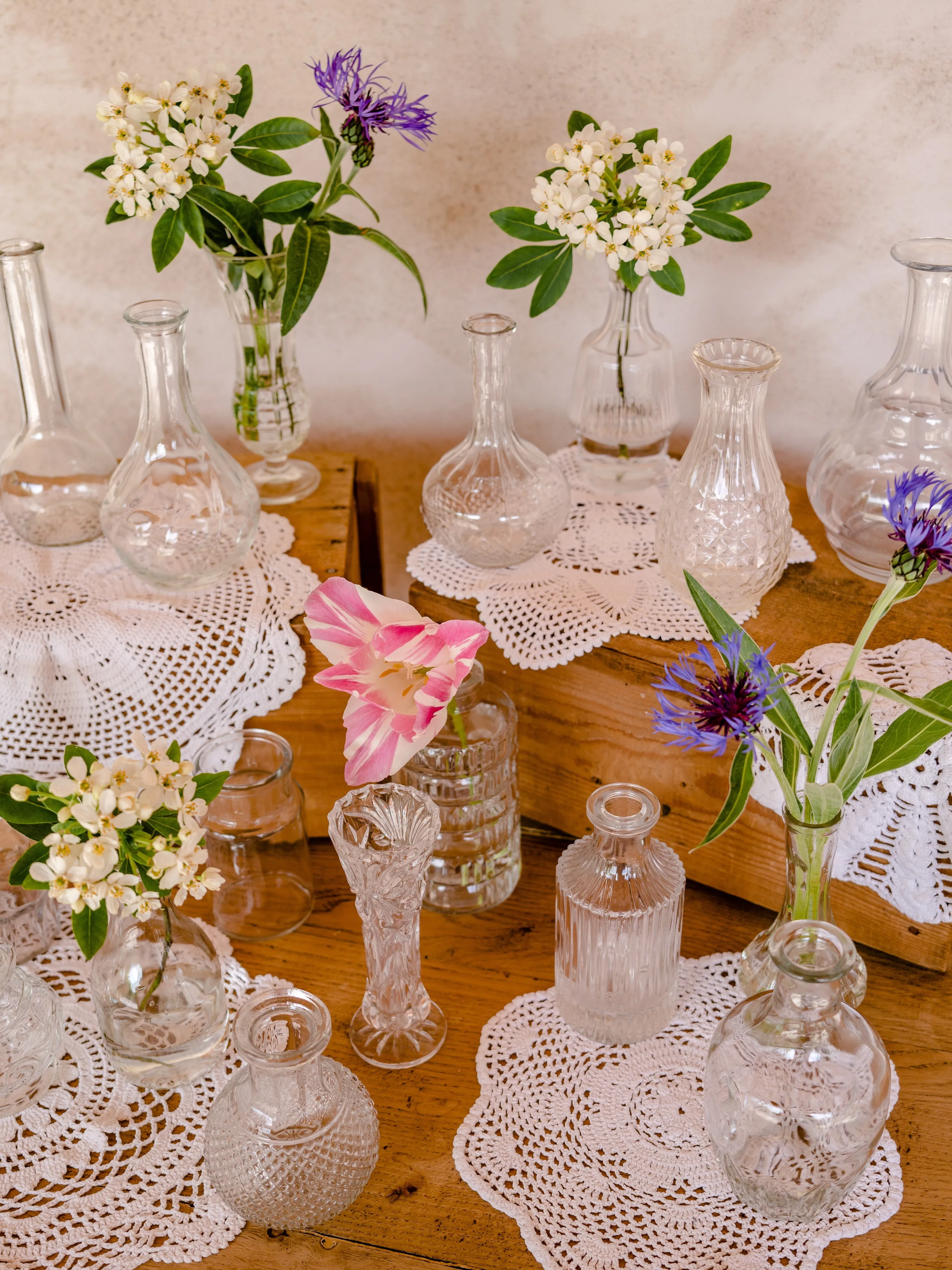 SOLIFLORES VINTAGE | Verre transparent