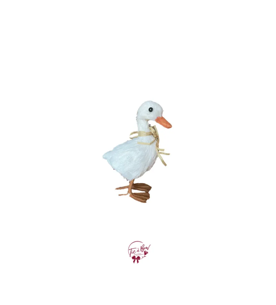Silly Goose